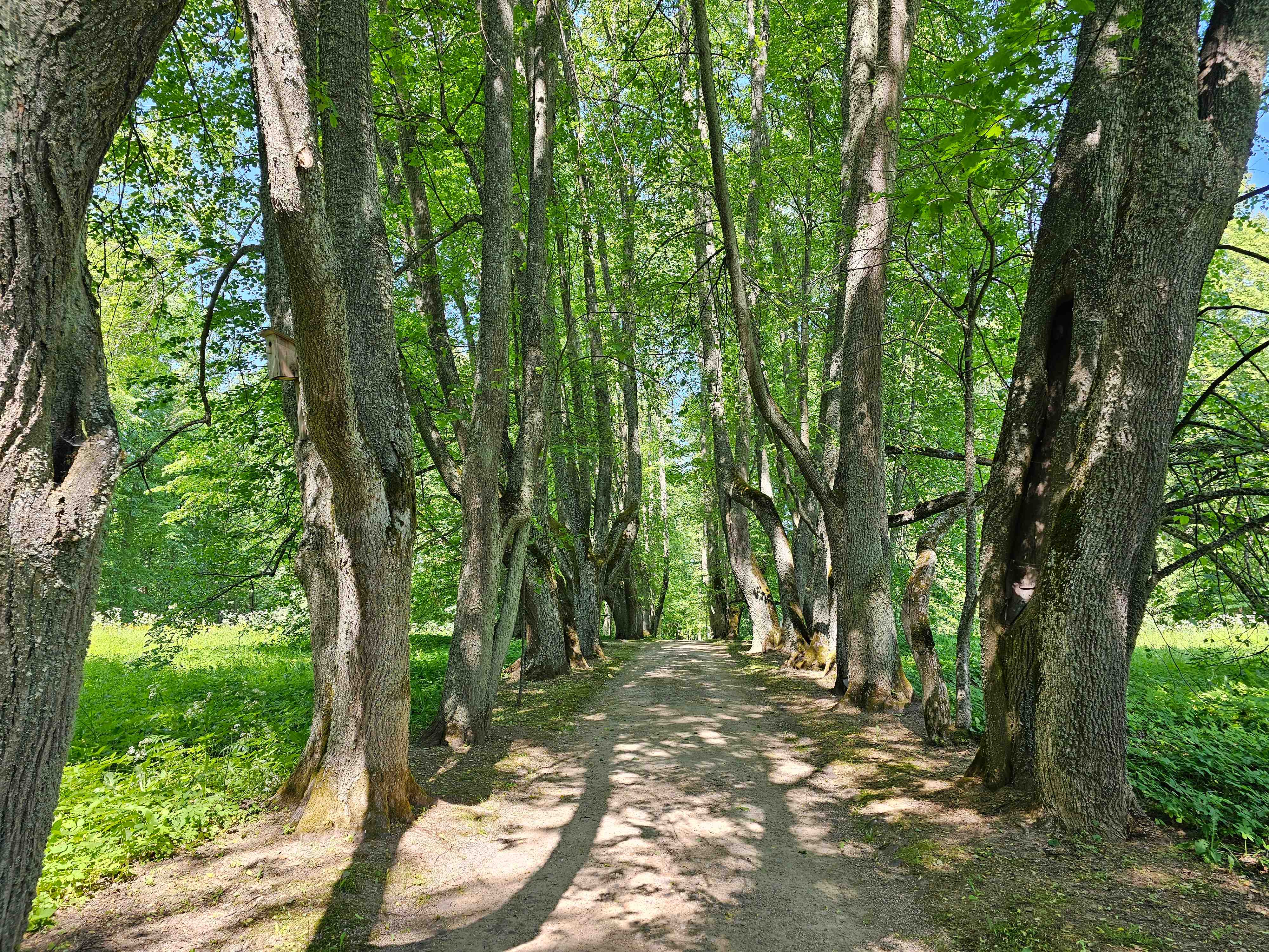 Петровское